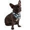 Mechaly Cotton Funny Dog Bandana with Designs Durable Birthday Pet Scarf